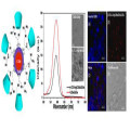 Bulk-L-Arginin in Immunfunktionsagens